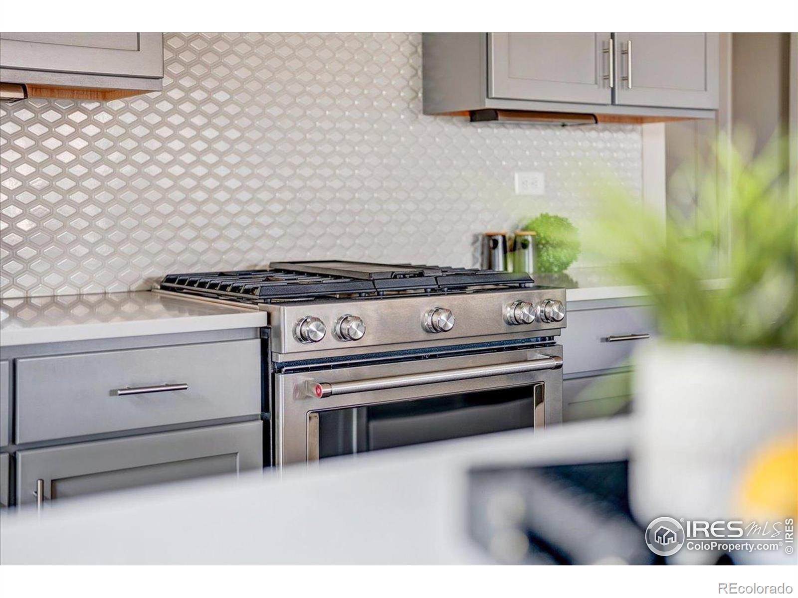 MLS Image #11 for 2932  comet street,fort collins, Colorado