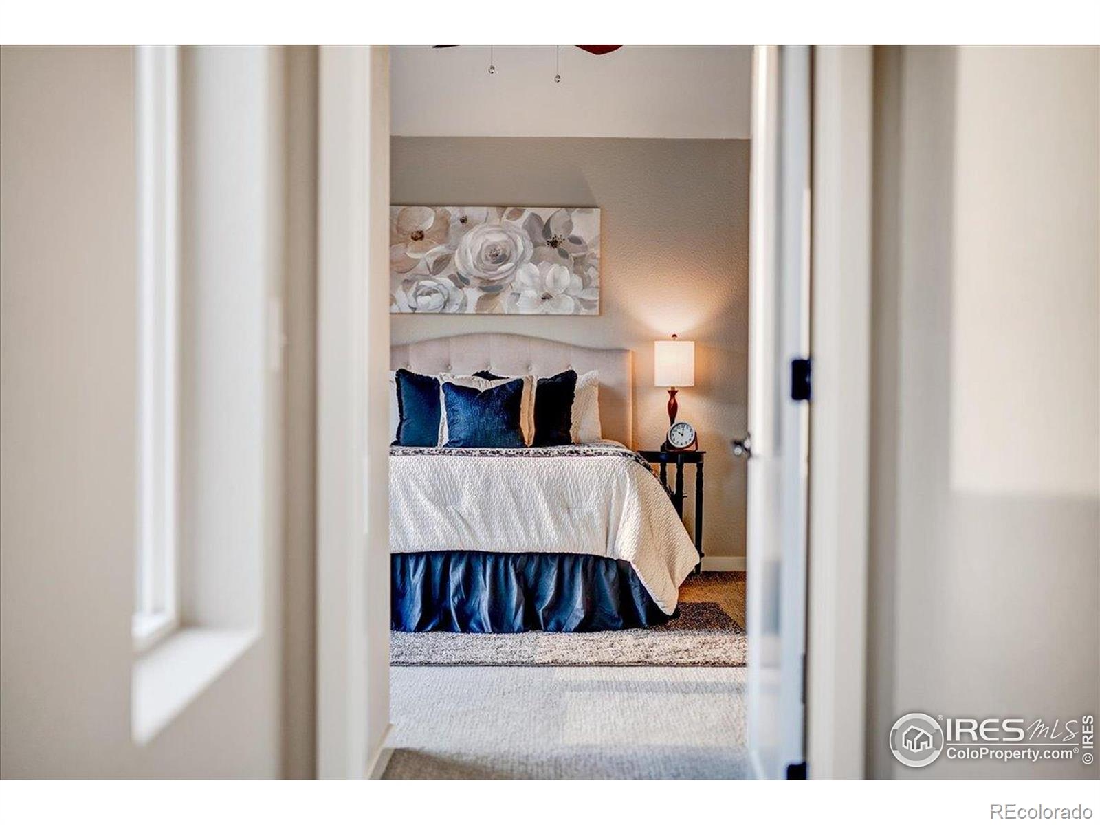 MLS Image #18 for 2932  comet street,fort collins, Colorado