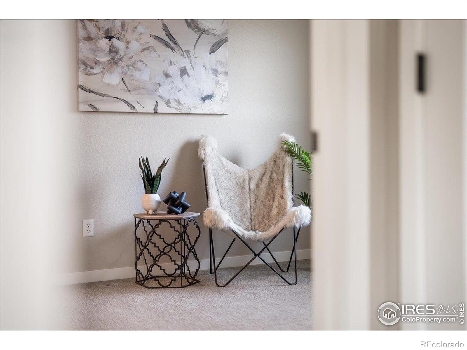 MLS Image #28 for 2932  comet street,fort collins, Colorado