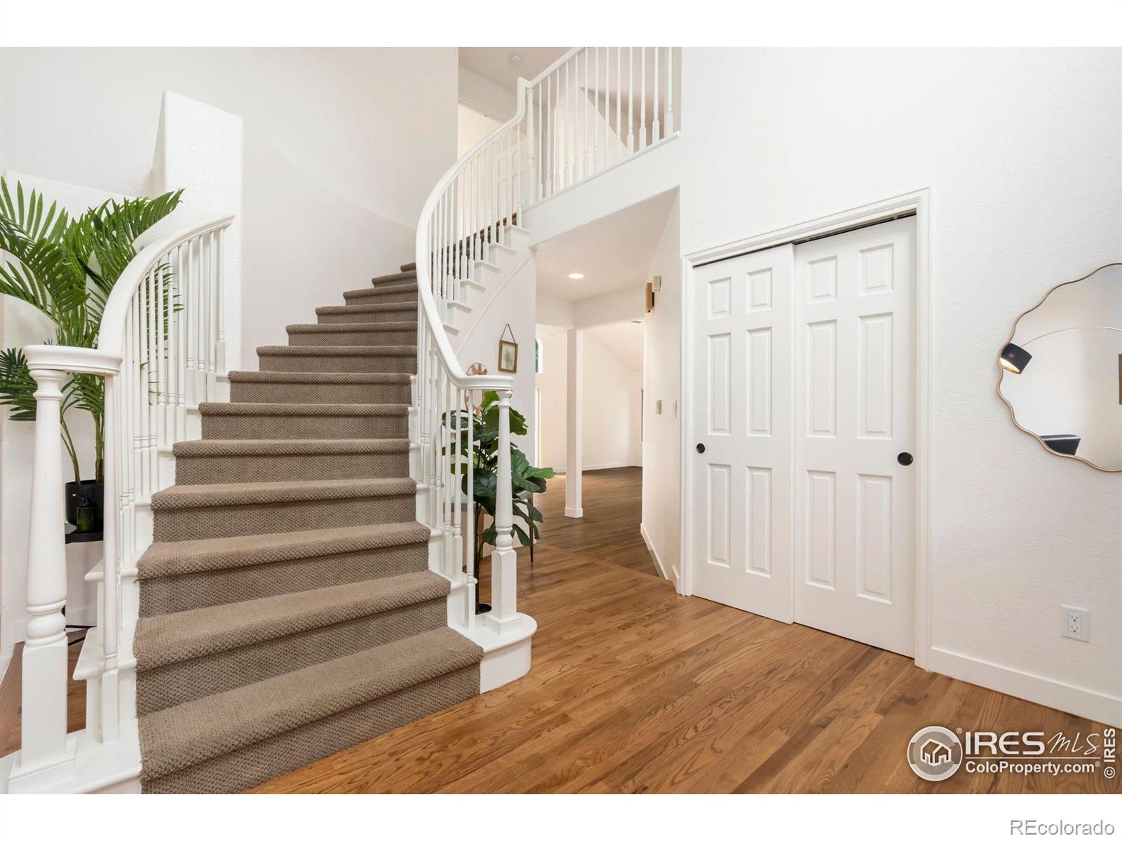MLS Image #5 for 5436  hilldale court,fort collins, Colorado