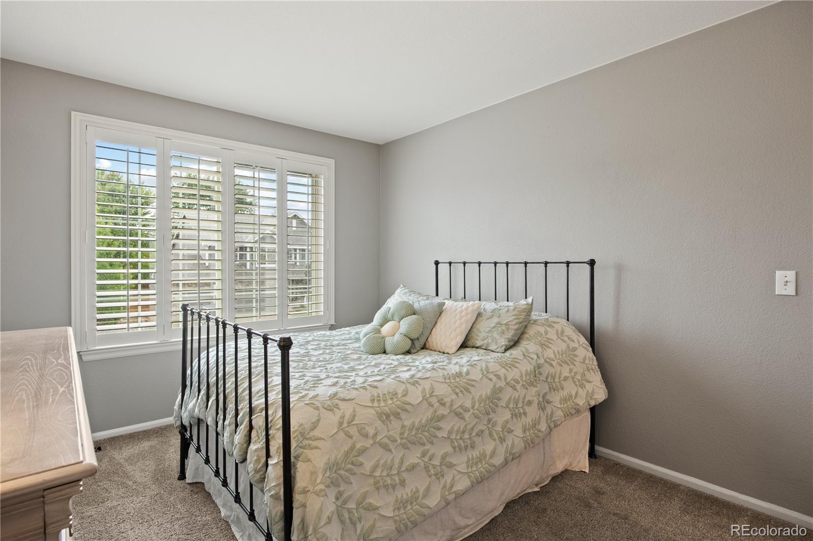MLS Image #22 for 4665  bobolink drive,castle rock, Colorado