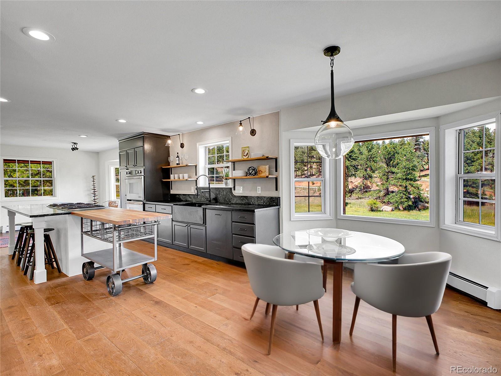 MLS Image #13 for 2635  nova road,pine, Colorado