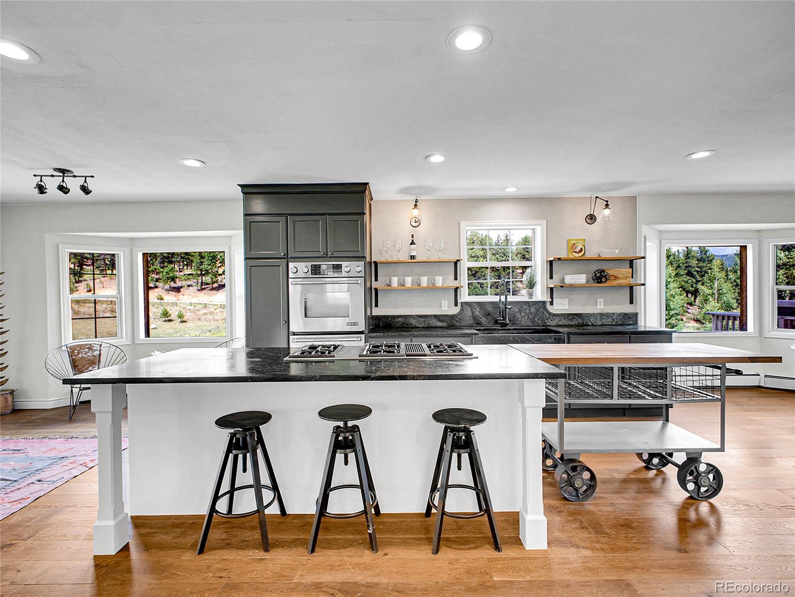 MLS Image #7 for 2635  nova road,pine, Colorado