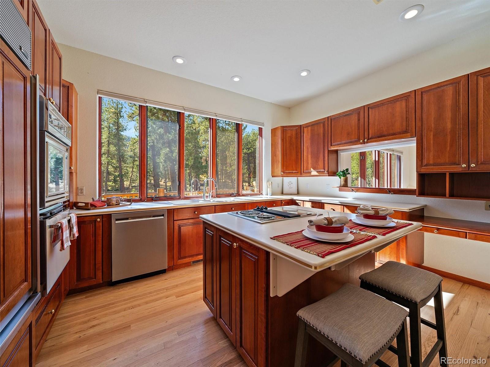 MLS Image #12 for 34550  upper bear creek road,evergreen, Colorado