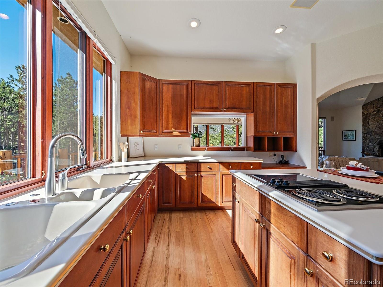 MLS Image #14 for 34550  upper bear creek road,evergreen, Colorado