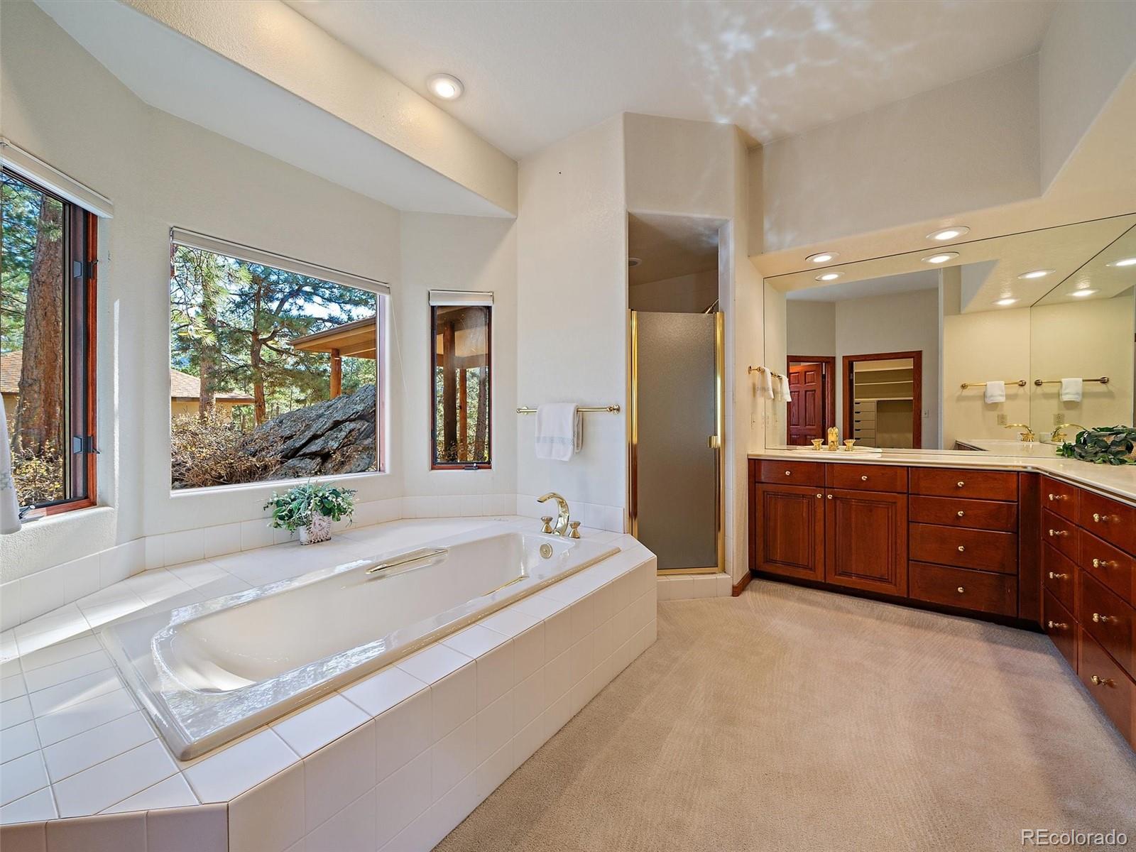 MLS Image #23 for 34550  upper bear creek road,evergreen, Colorado