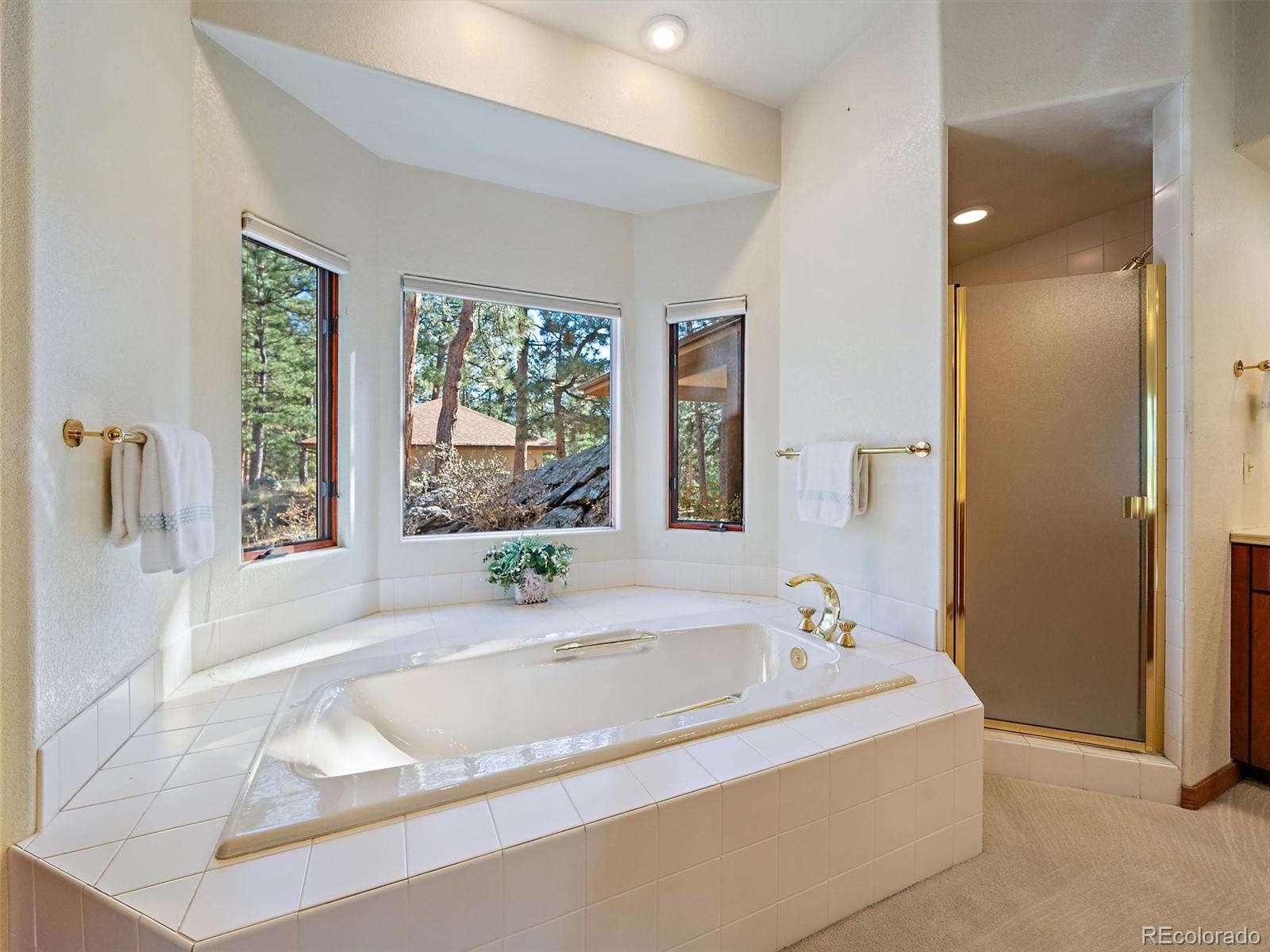 MLS Image #24 for 34550  upper bear creek road,evergreen, Colorado