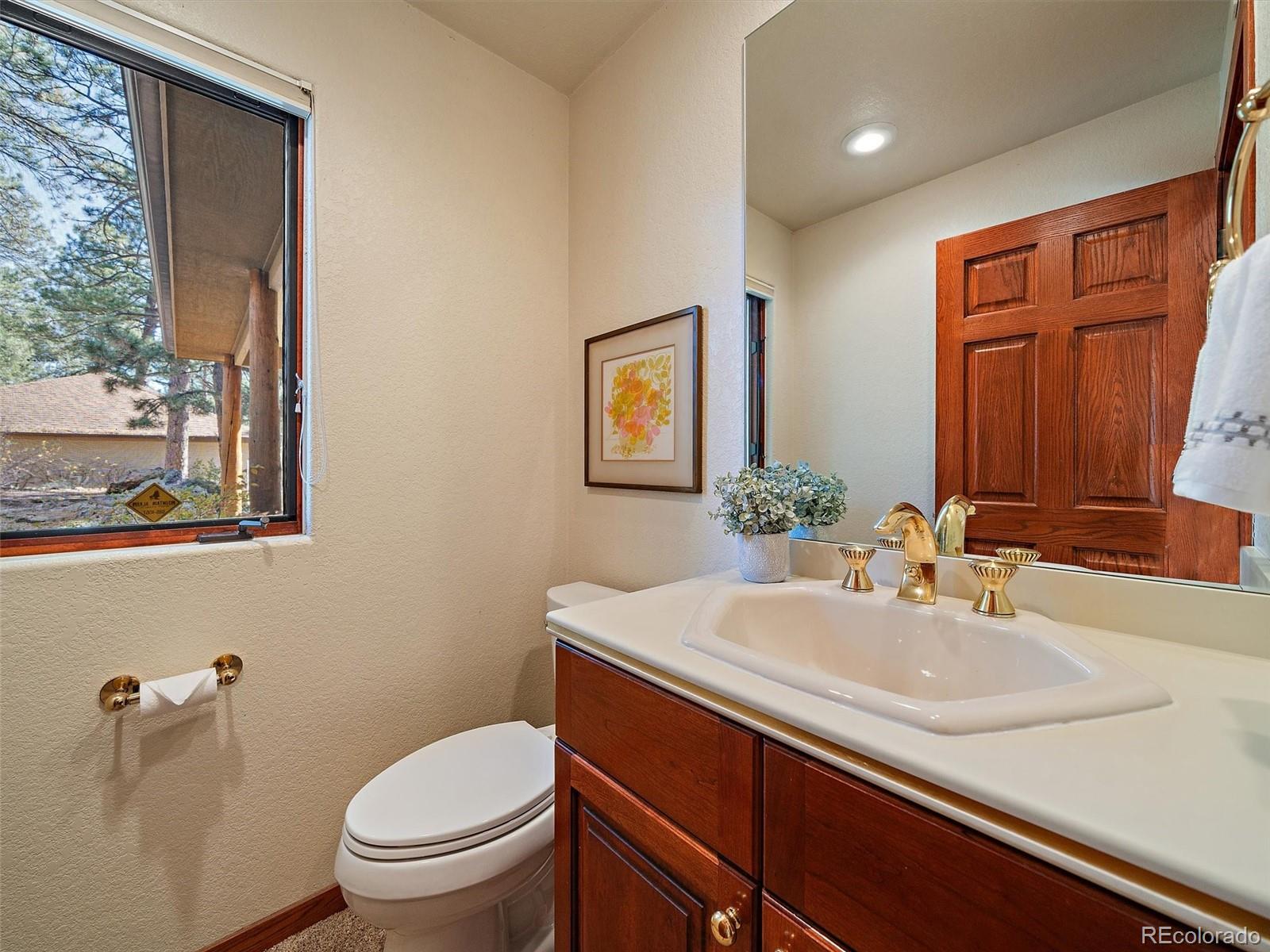 MLS Image #26 for 34550  upper bear creek road,evergreen, Colorado