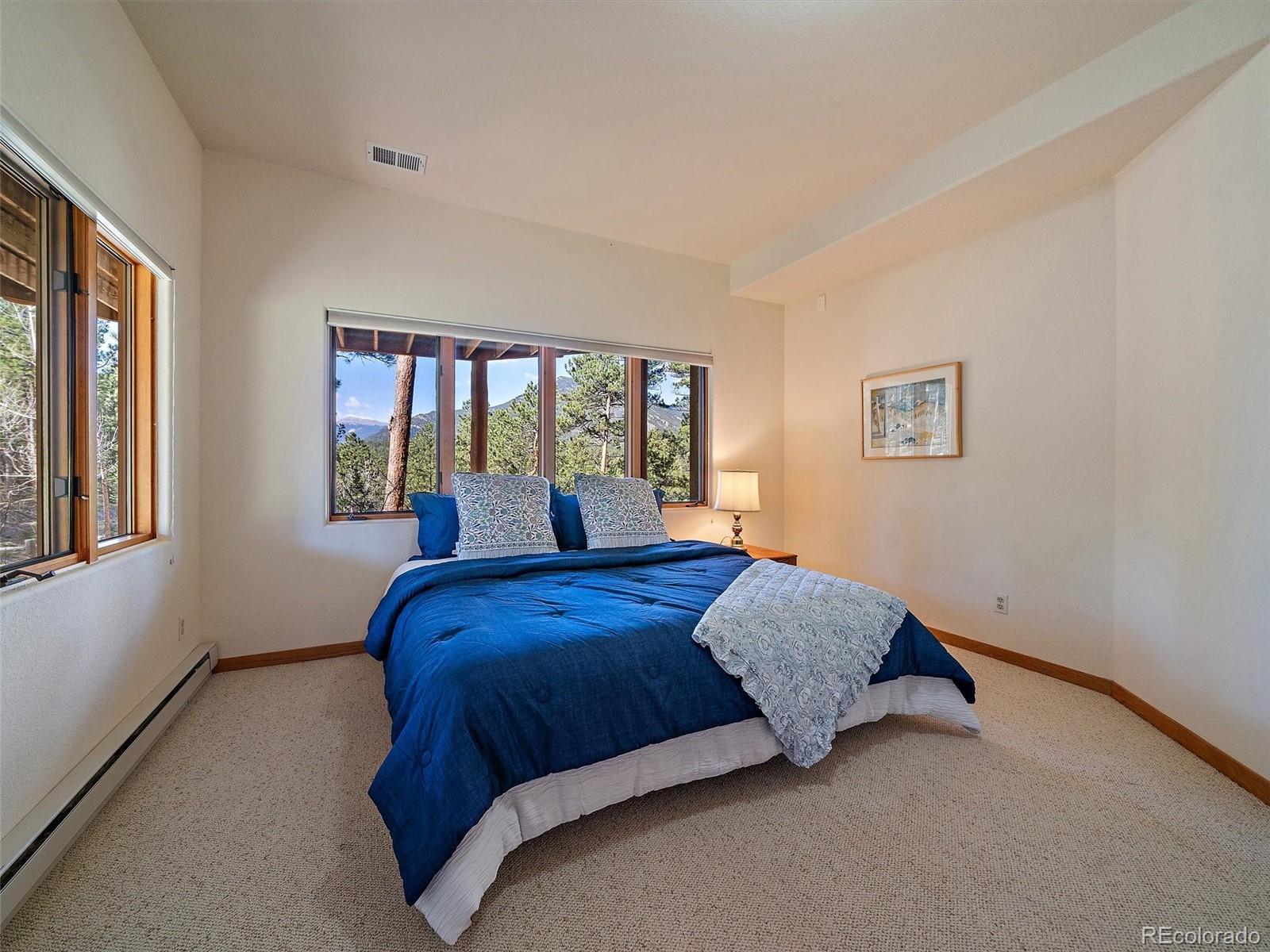 MLS Image #41 for 34550  upper bear creek road,evergreen, Colorado