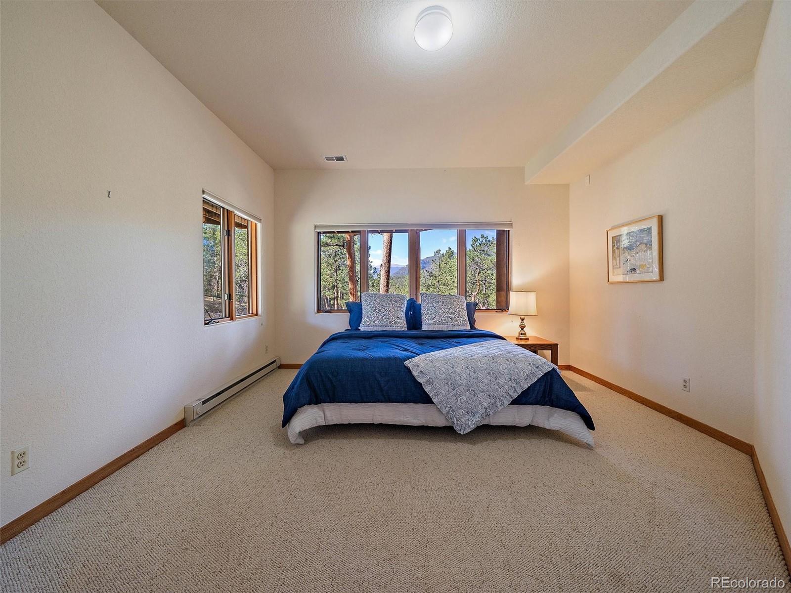 MLS Image #42 for 34550  upper bear creek road,evergreen, Colorado