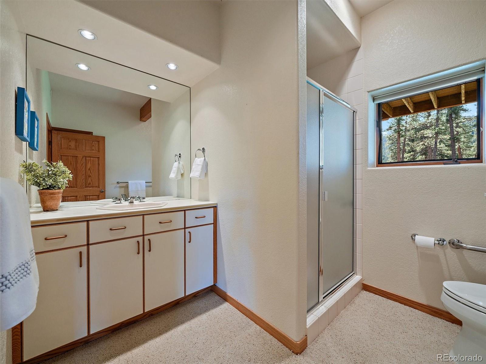 MLS Image #43 for 34550  upper bear creek road,evergreen, Colorado