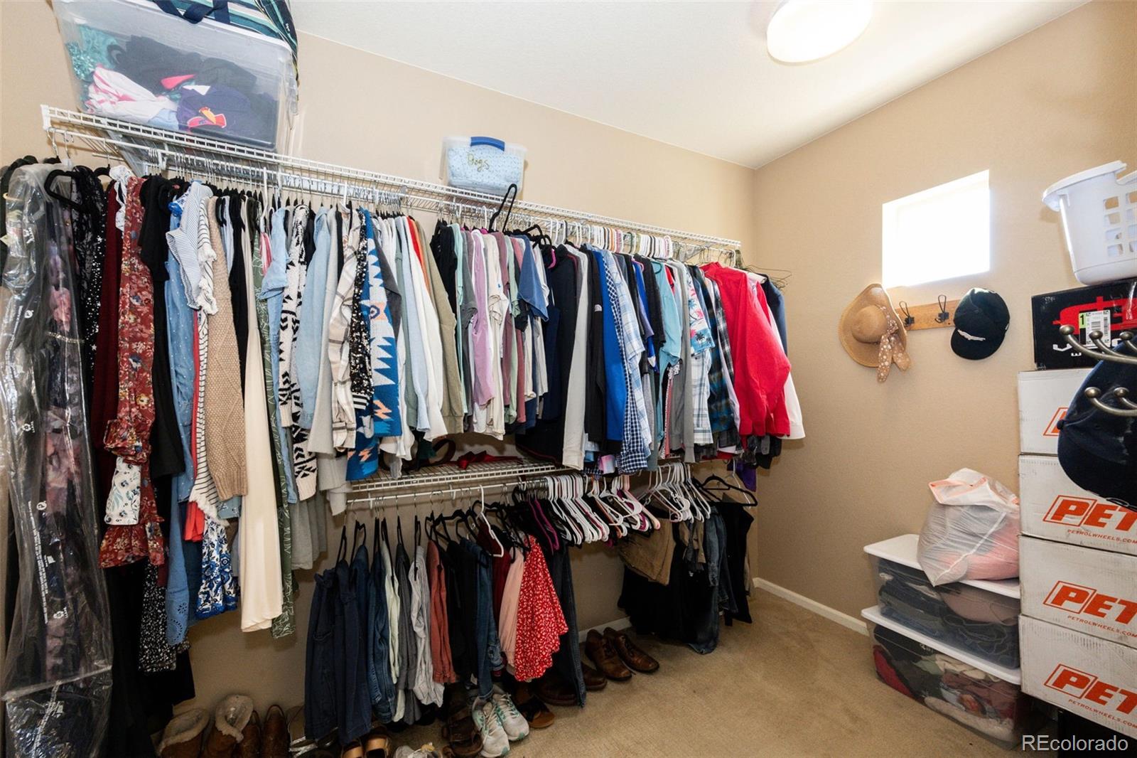 MLS Image #19 for 196  dunsinane lane,castle rock, Colorado