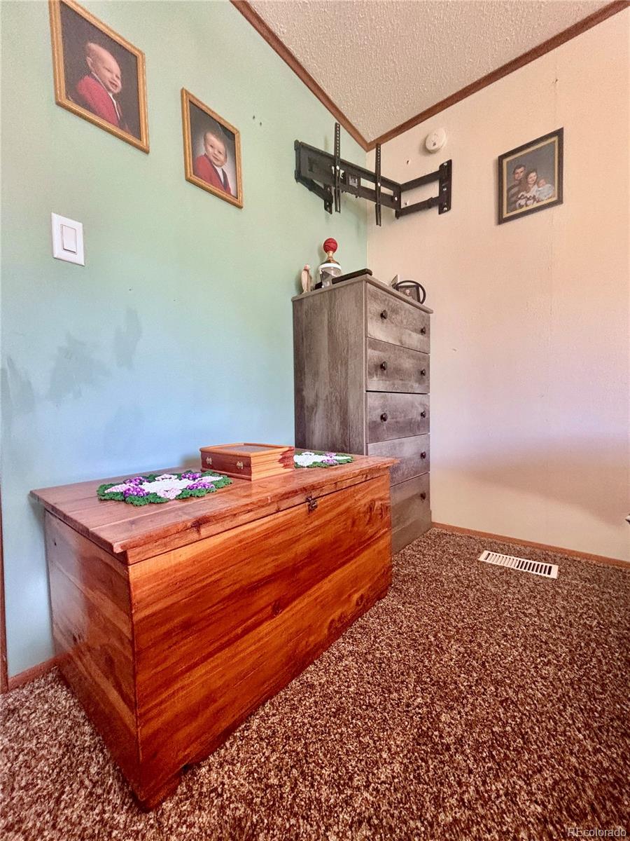 MLS Image #28 for 10075  lane 1 ,mosca, Colorado