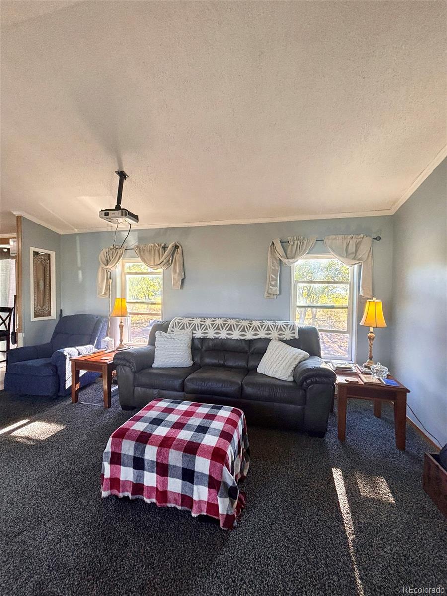 MLS Image #3 for 10075  lane 1 ,mosca, Colorado
