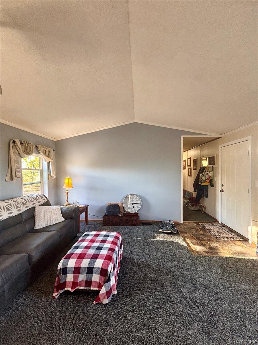 MLS Image #4 for 10075  lane 1 ,mosca, Colorado