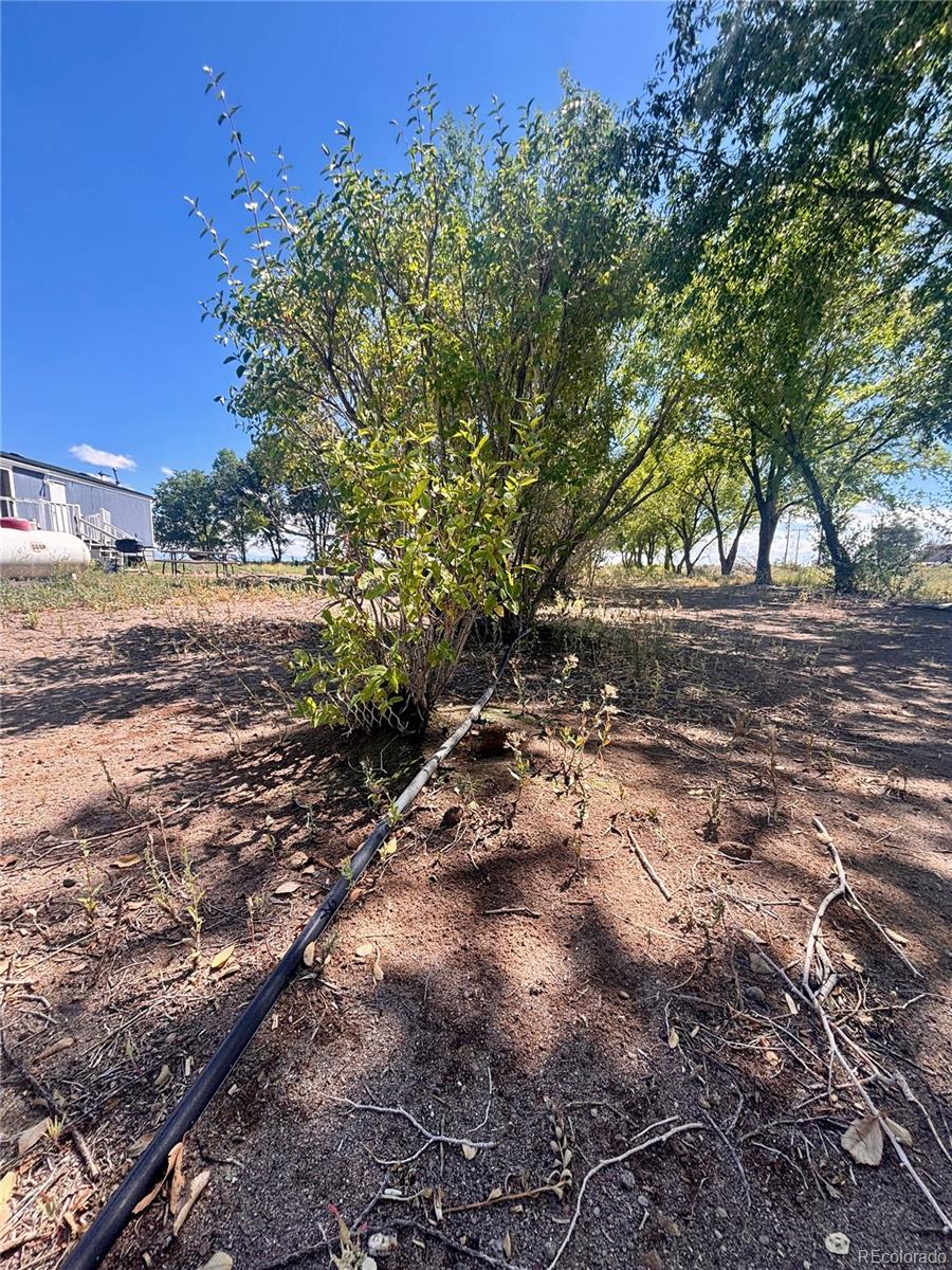 MLS Image #45 for 10075  lane 1 ,mosca, Colorado