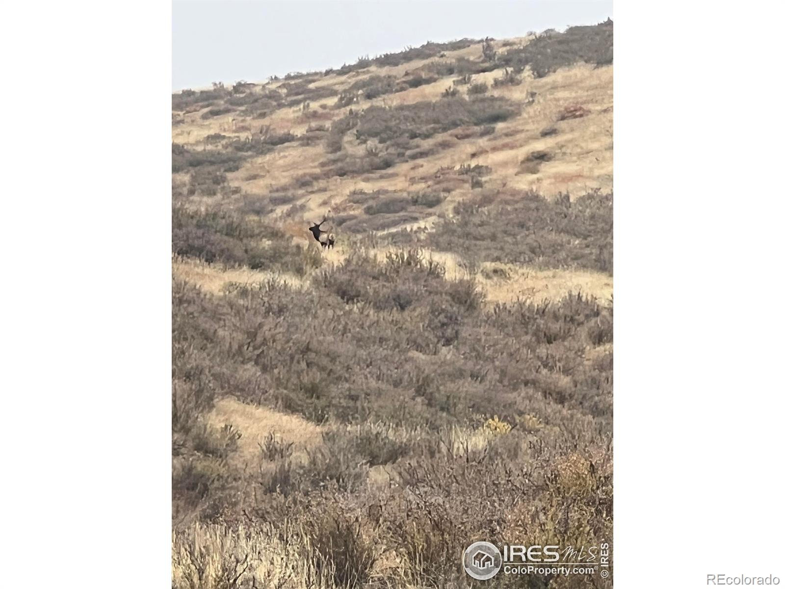 MLS Image #43 for 940 s county road 29 ,loveland, Colorado