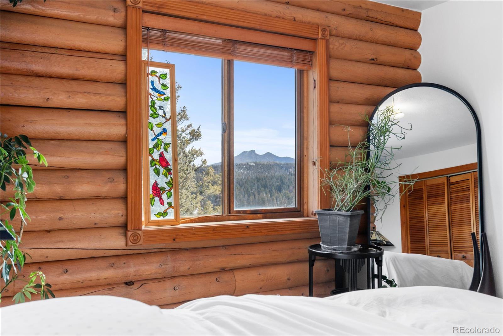 MLS Image #15 for 10221  blue sky trail,conifer, Colorado