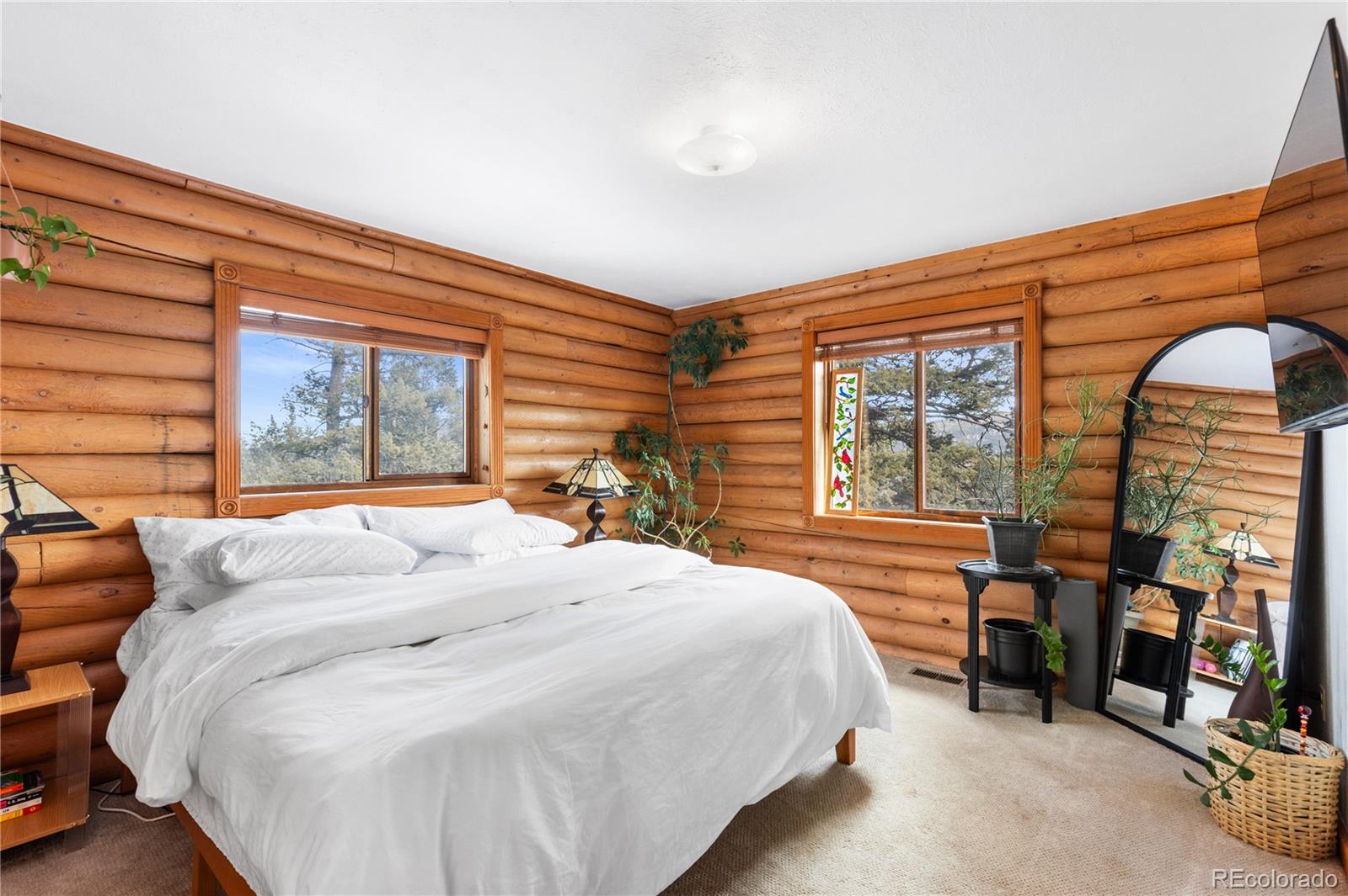 MLS Image #16 for 10221  blue sky trail,conifer, Colorado