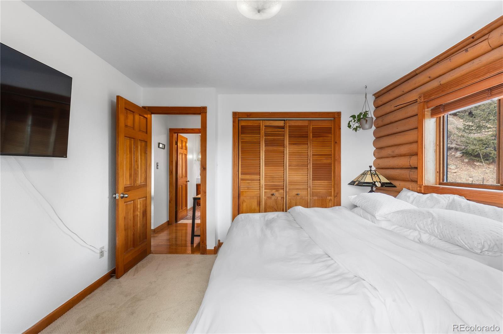 MLS Image #17 for 10221  blue sky trail,conifer, Colorado