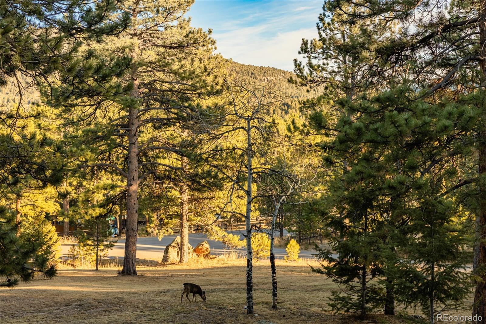MLS Image #1 for 28735  little big horn drive,evergreen, Colorado
