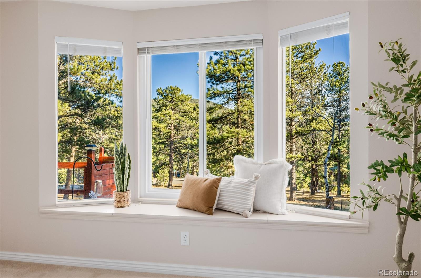 MLS Image #10 for 28735  little big horn drive,evergreen, Colorado