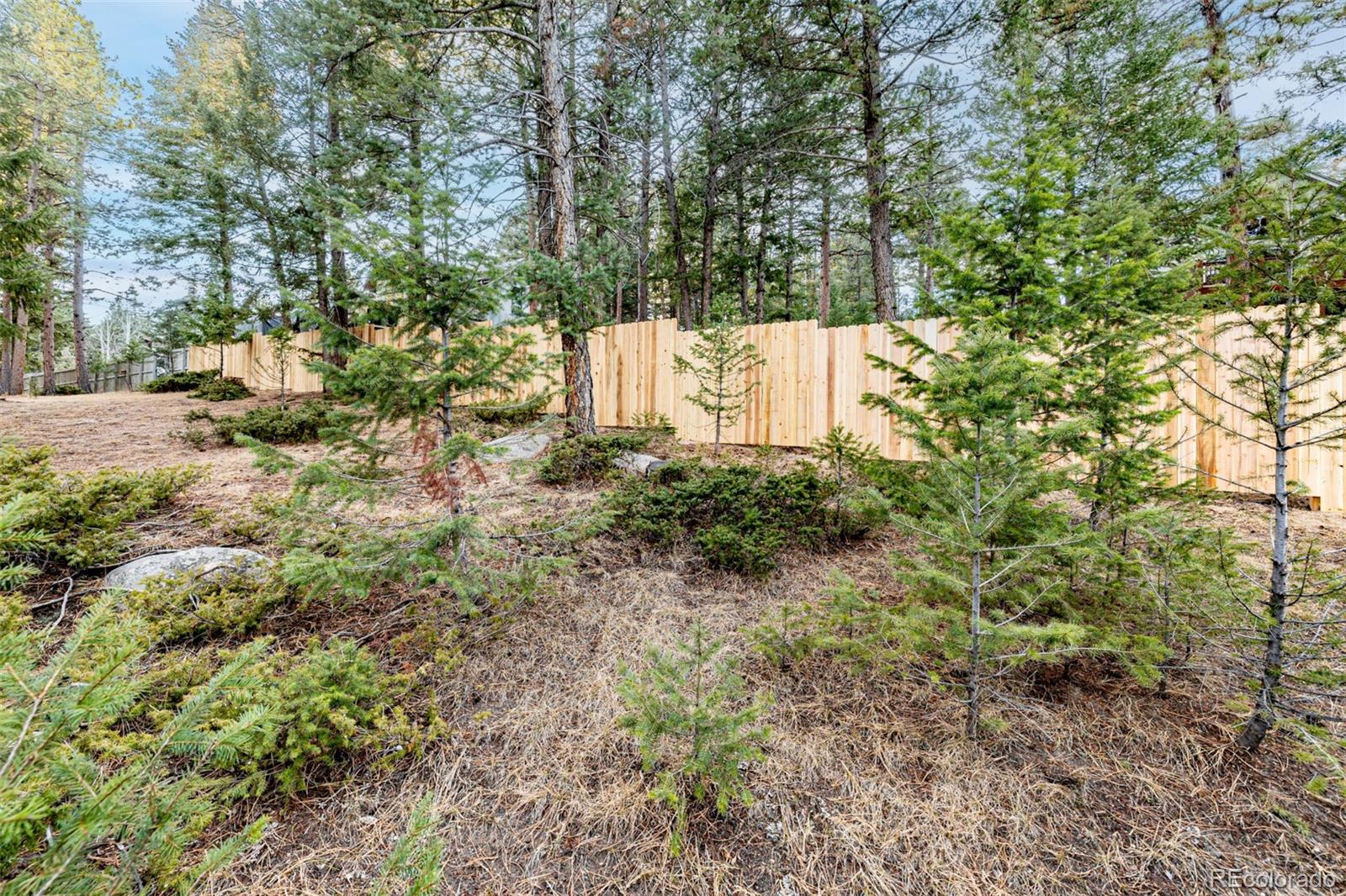 MLS Image #42 for 28735  little big horn drive,evergreen, Colorado