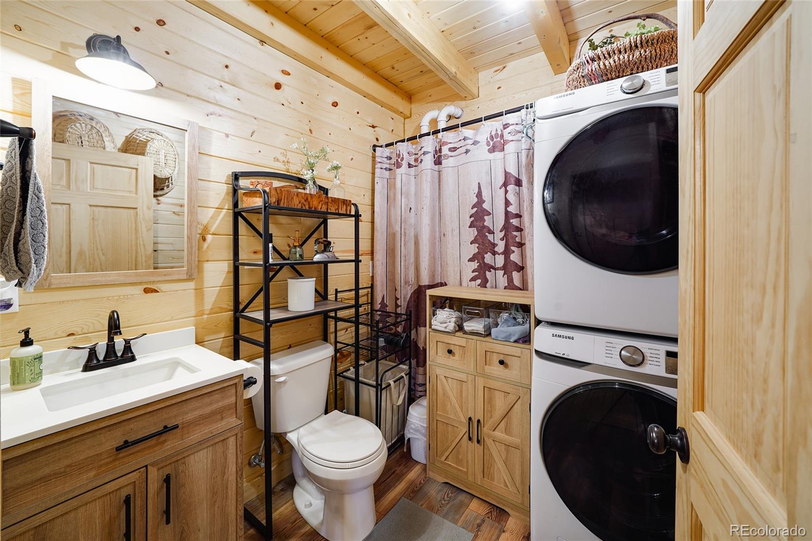 MLS Image #18 for 38  lonesome pine drive,antonito, Colorado
