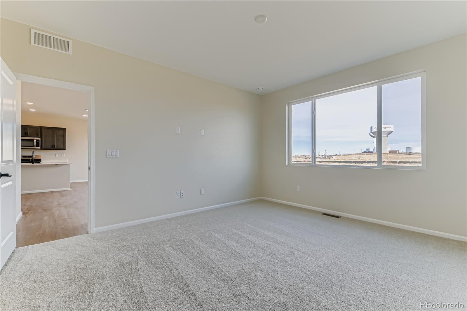 MLS Image #8 for 4171  runyon lake street,brighton, Colorado