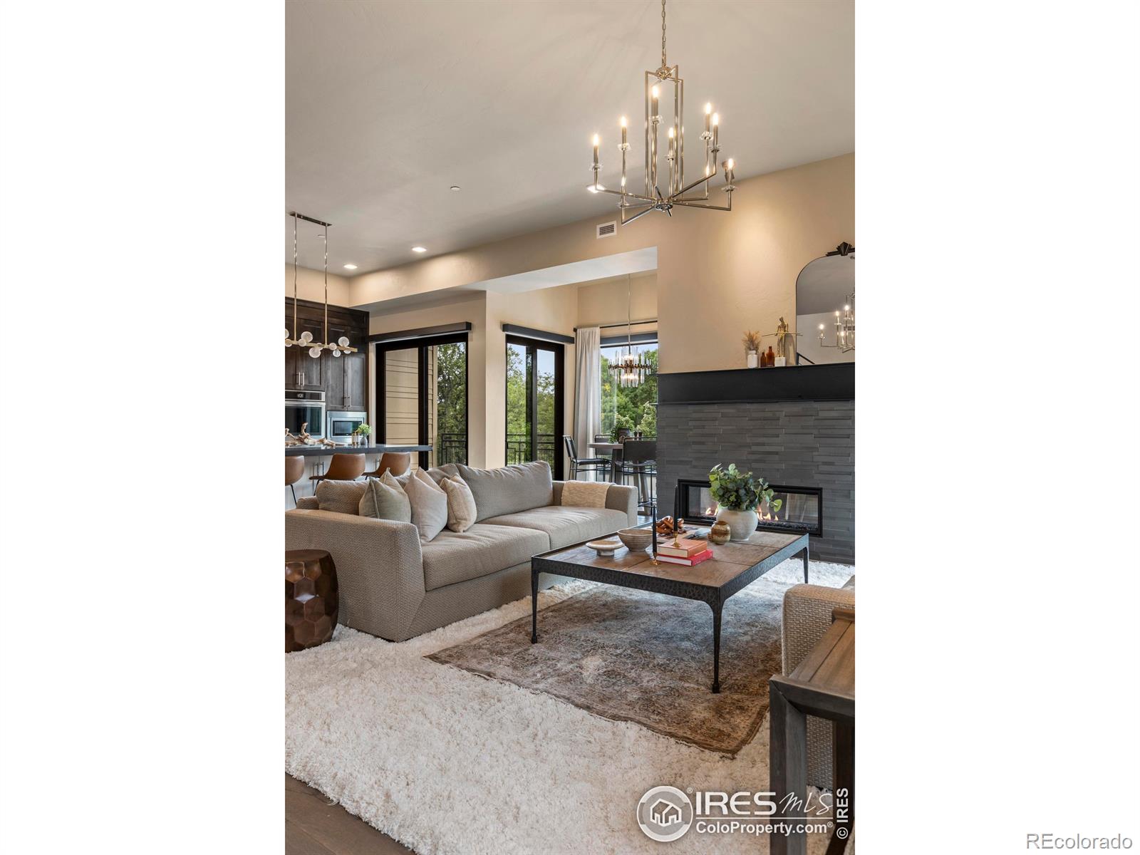 MLS Image #15 for 302 n meldrum street,fort collins, Colorado