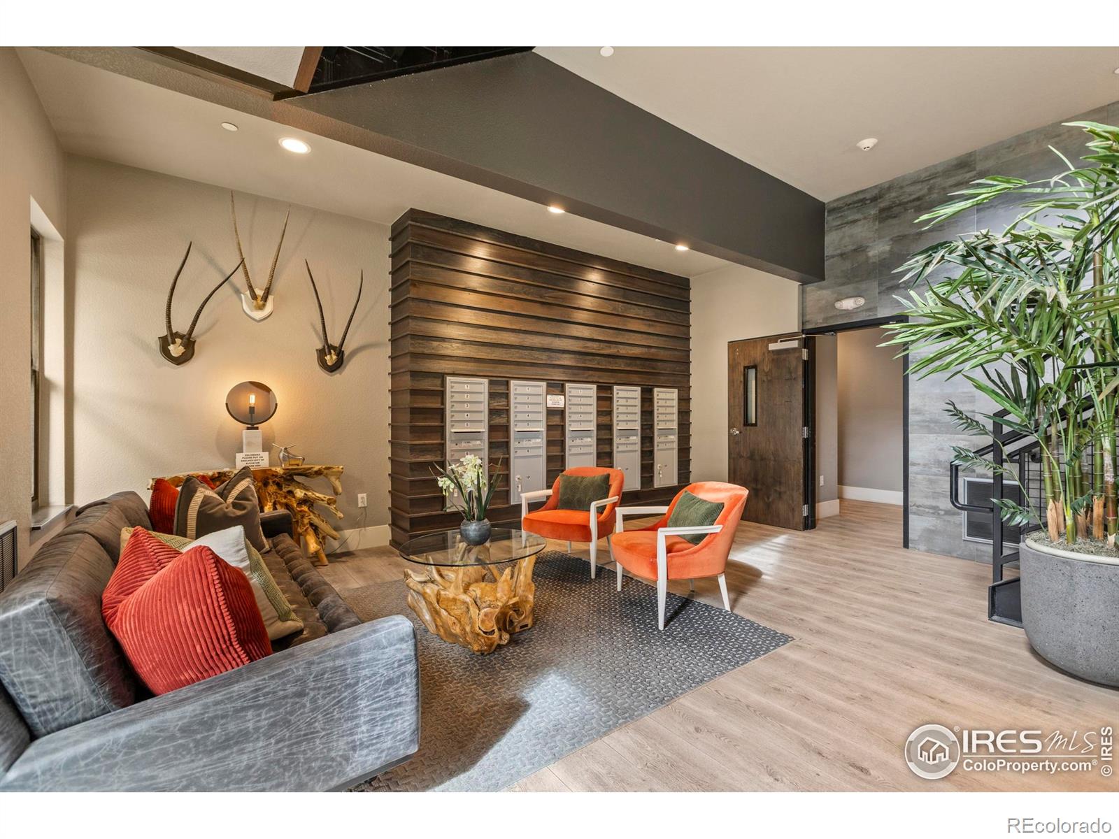 MLS Image #5 for 302 n meldrum street,fort collins, Colorado
