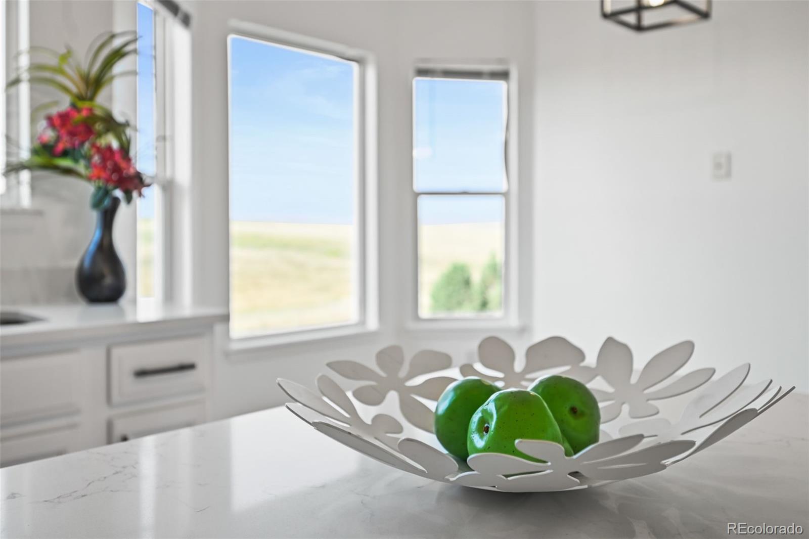 MLS Image #8 for 7498  patrick trail,elizabeth, Colorado
