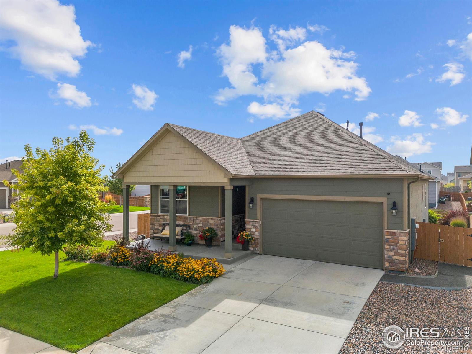 MLS Image #0 for 939  keneally court,windsor, Colorado