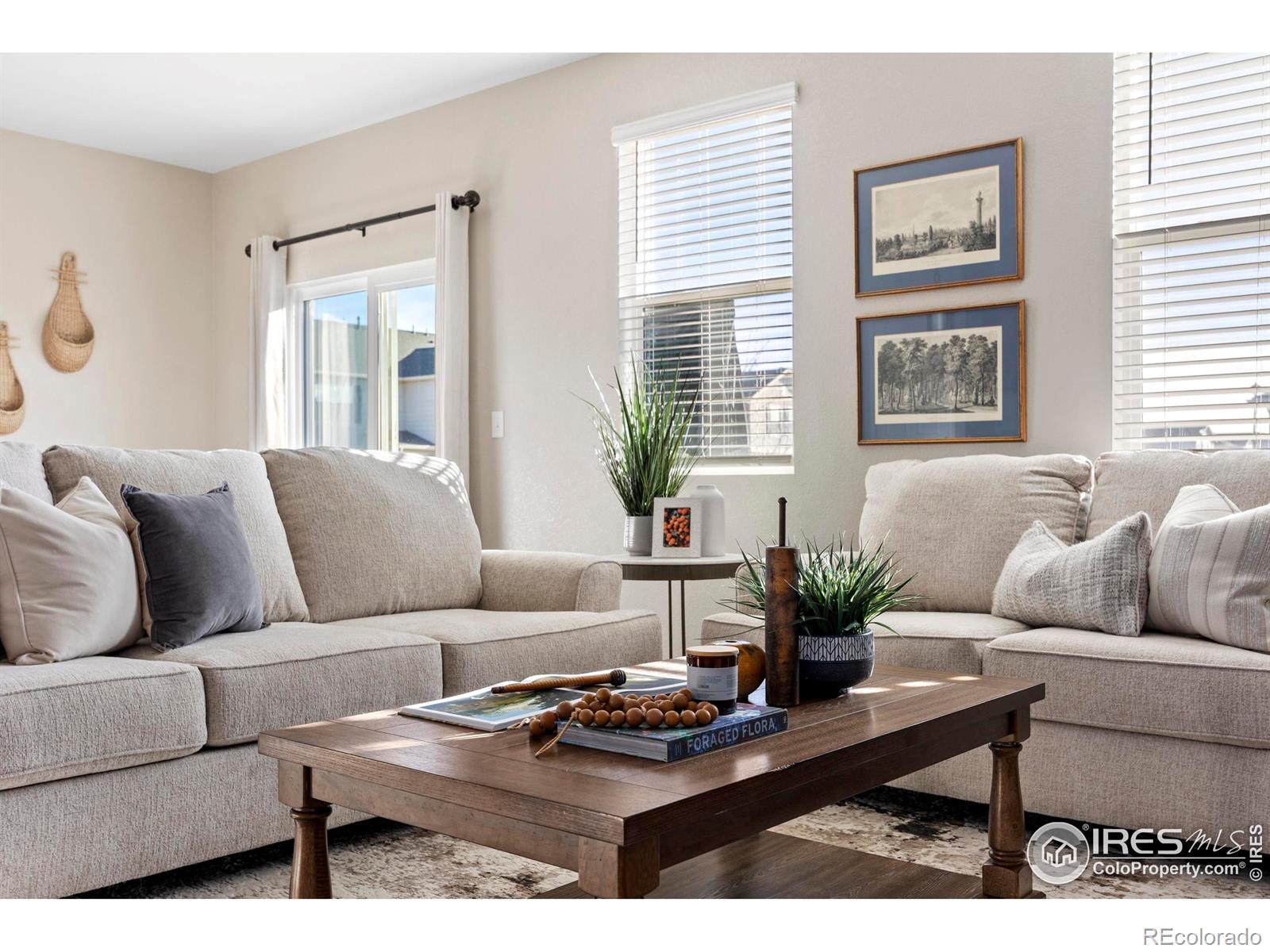 MLS Image #12 for 939  keneally court,windsor, Colorado