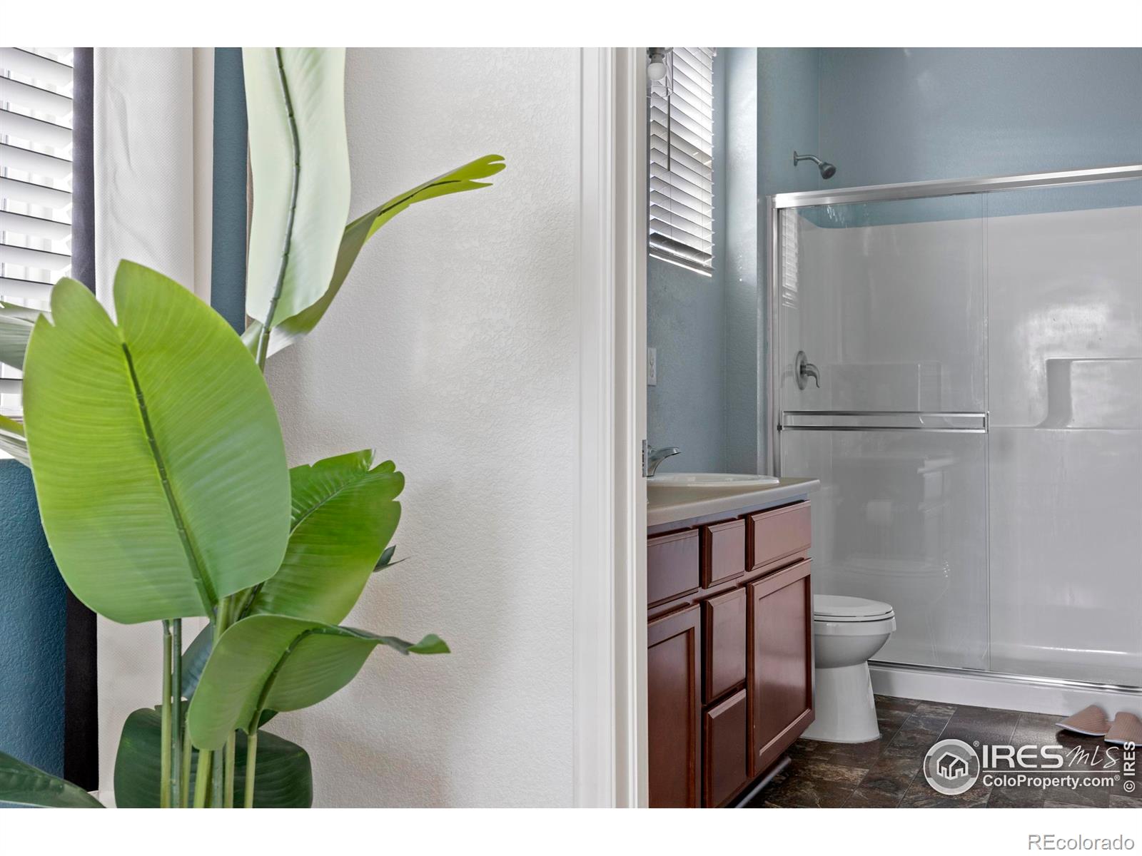MLS Image #31 for 939  keneally court,windsor, Colorado