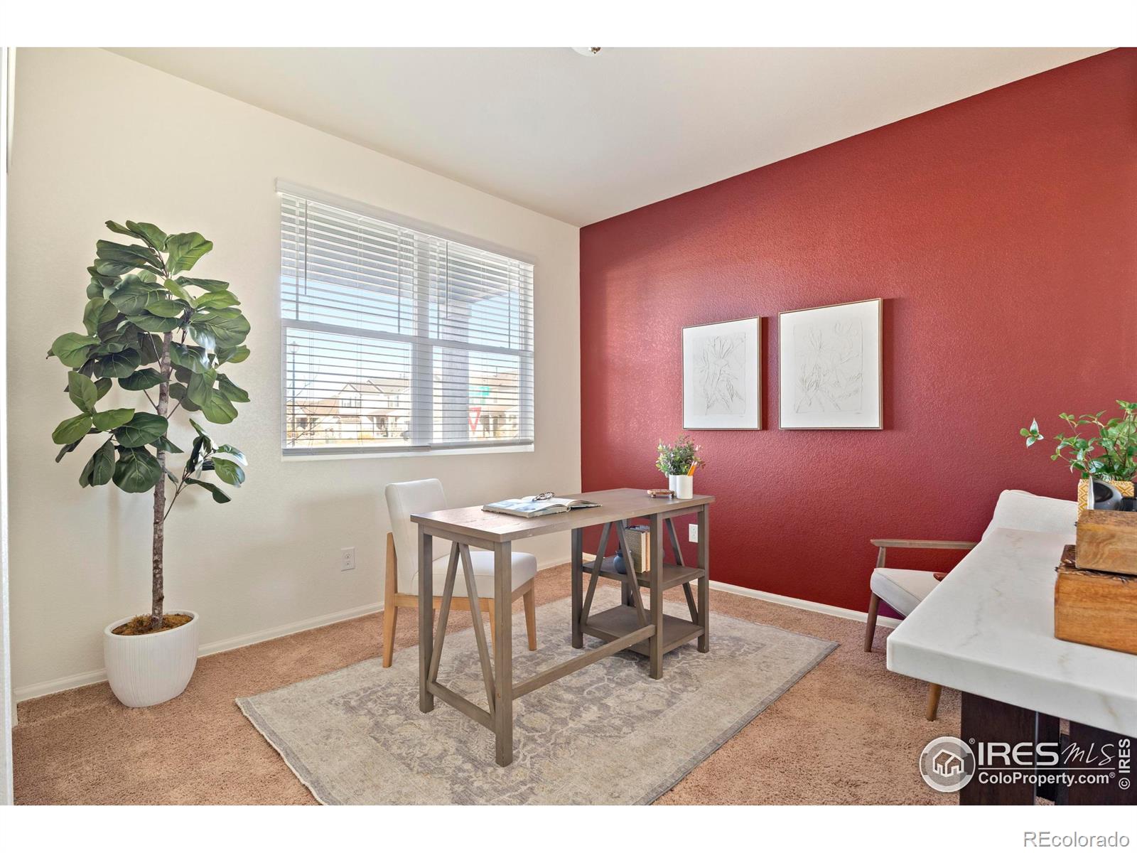 MLS Image #36 for 939  keneally court,windsor, Colorado