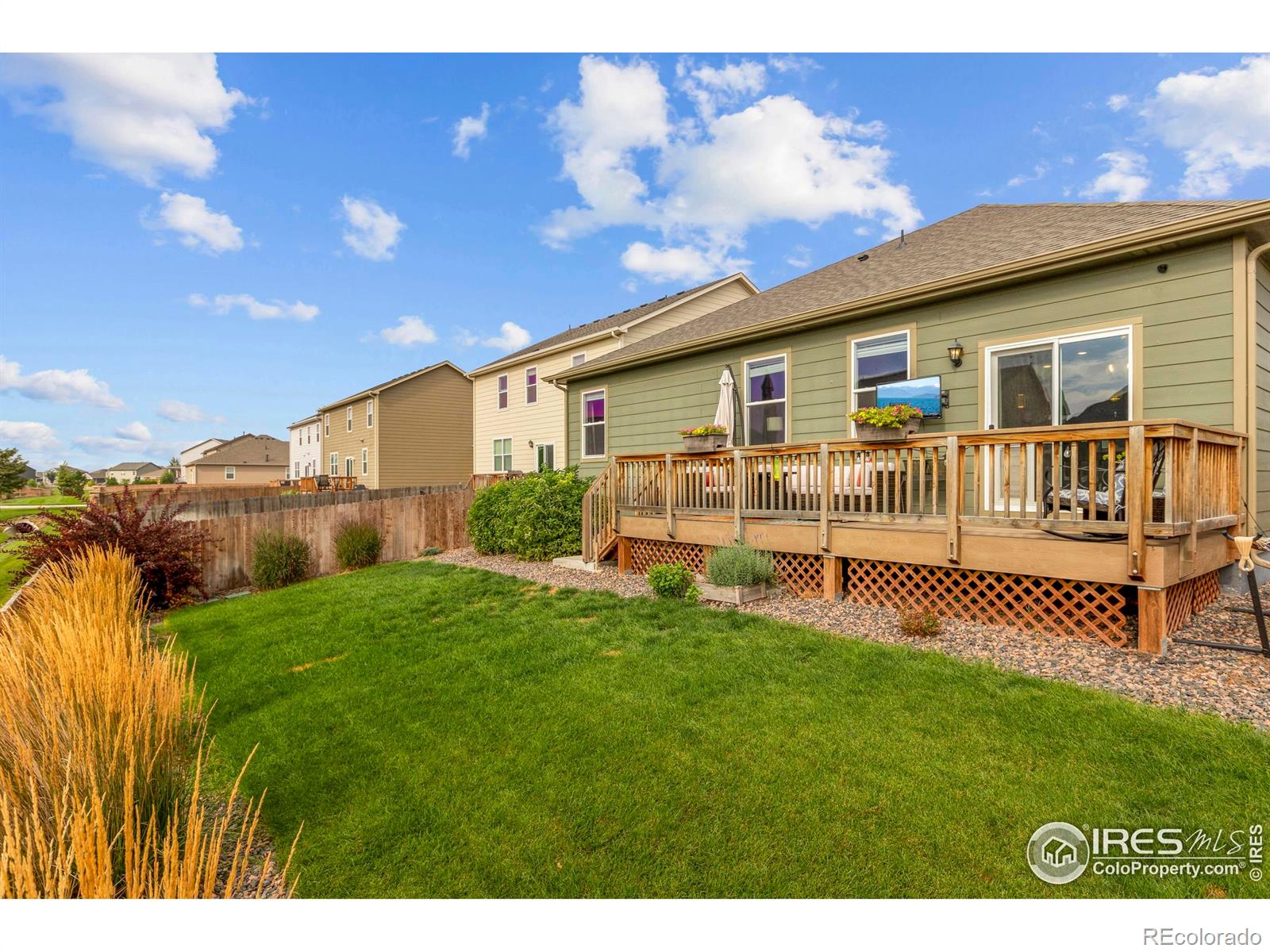 MLS Image #42 for 939  keneally court,windsor, Colorado