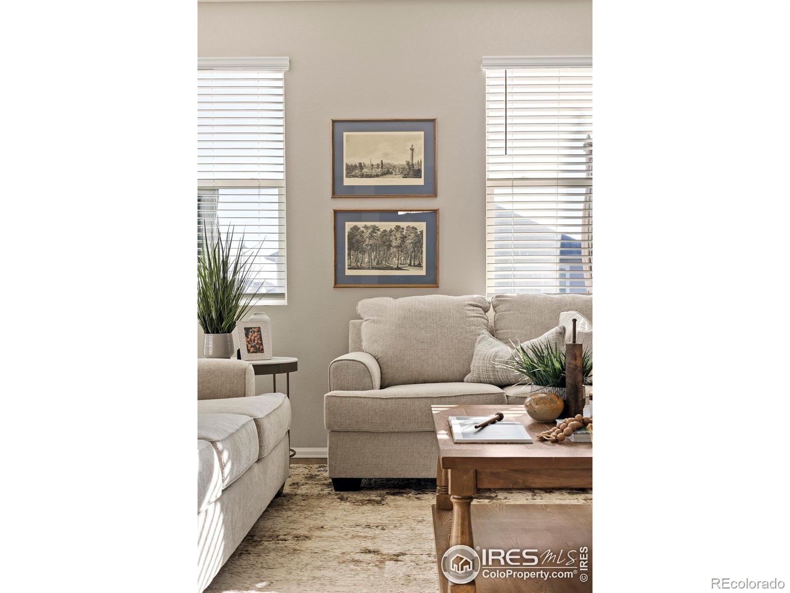 MLS Image #5 for 939  keneally court,windsor, Colorado