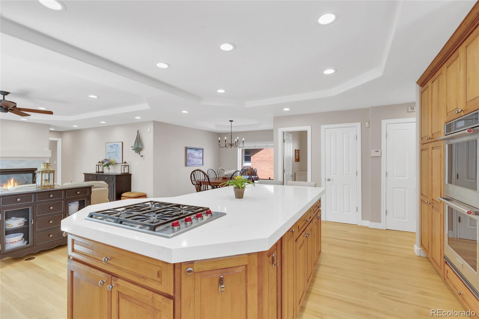 MLS Image #10 for 461 s franklin street,denver, Colorado