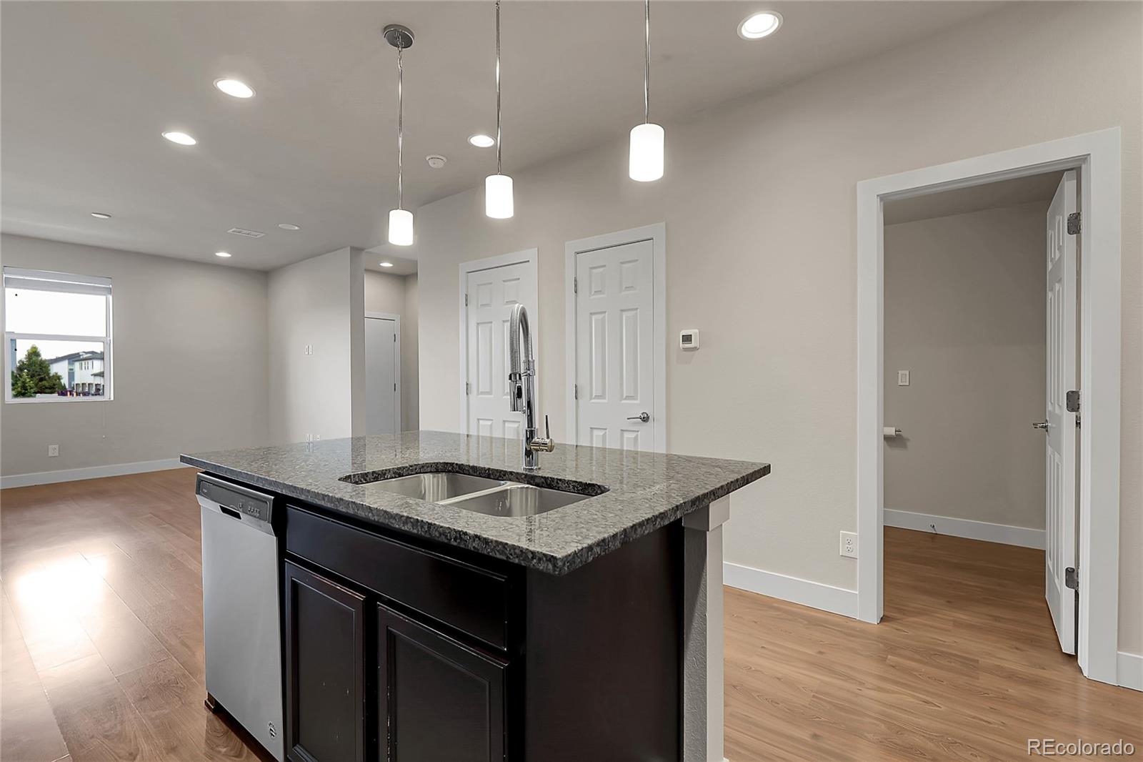MLS Image #10 for 16060 e 47th drive ,denver, Colorado