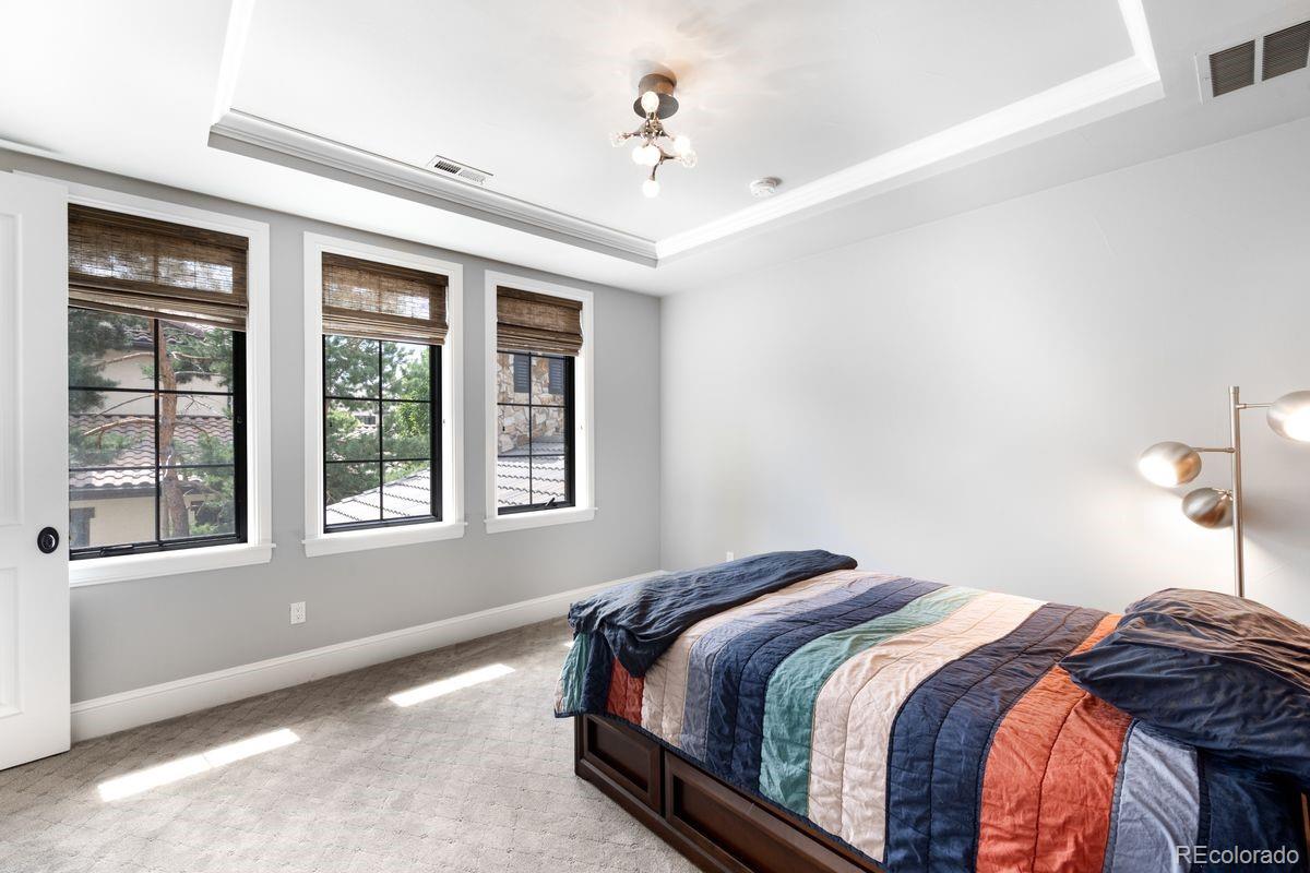 MLS Image #29 for 10858  rainribbon road,highlands ranch, Colorado
