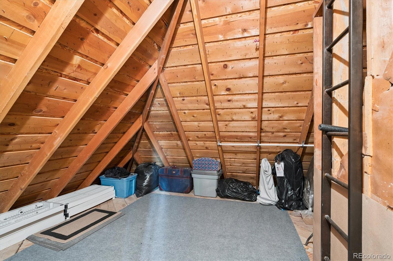 MLS Image #22 for 1545  locust street,denver, Colorado