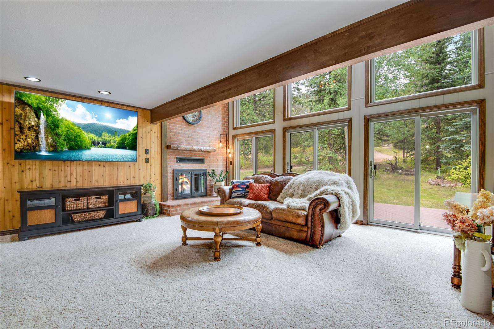 MLS Image #2 for 25257  snyder avenue,conifer, Colorado