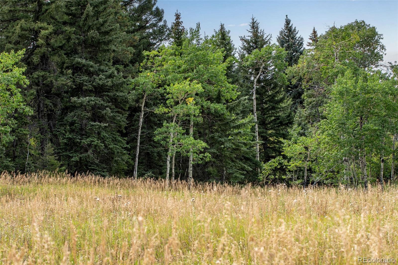 MLS Image #26 for 25257  snyder avenue,conifer, Colorado