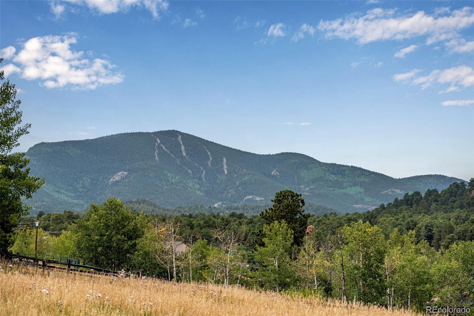 MLS Image #27 for 25257  snyder avenue,conifer, Colorado