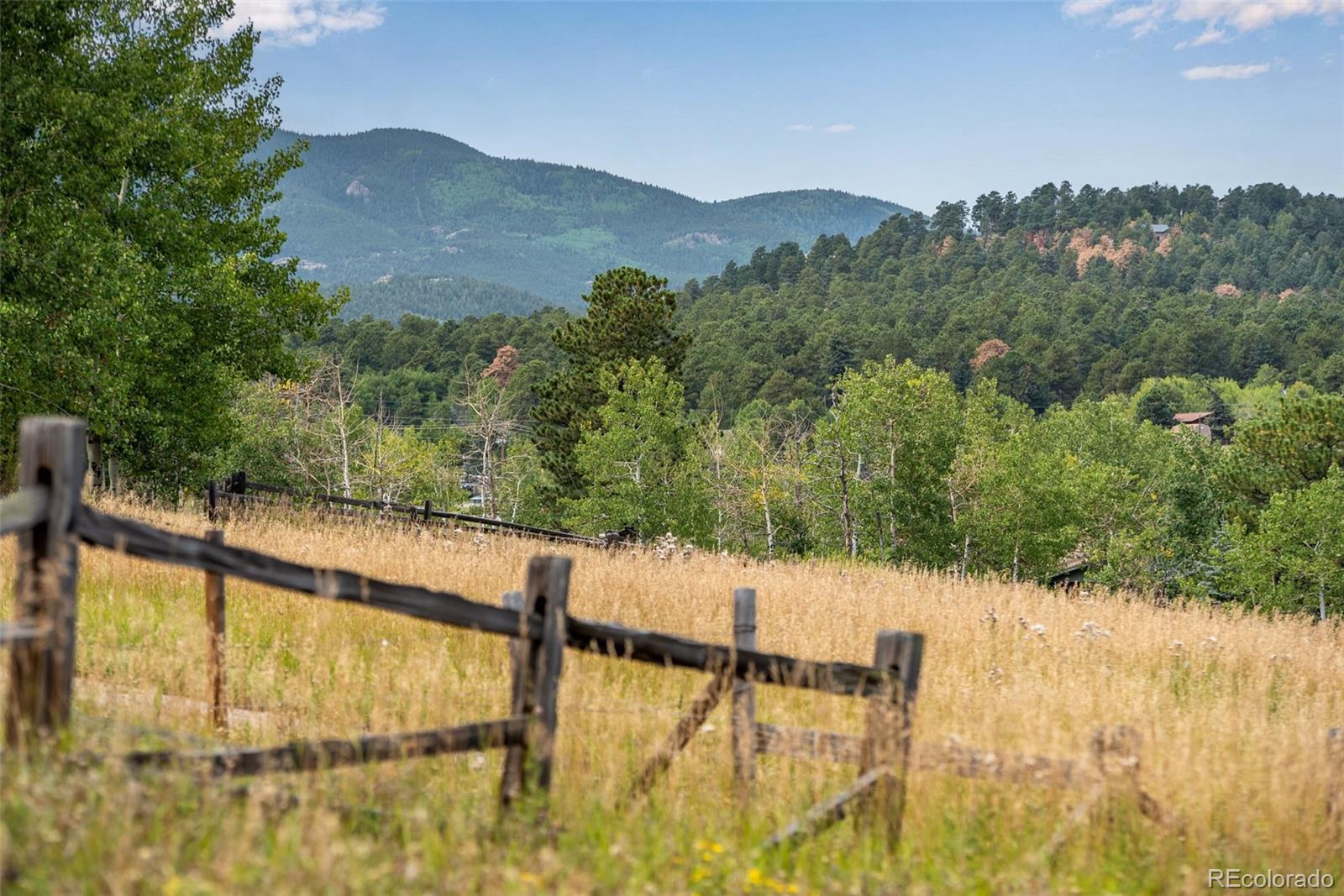 MLS Image #29 for 25257  snyder avenue,conifer, Colorado