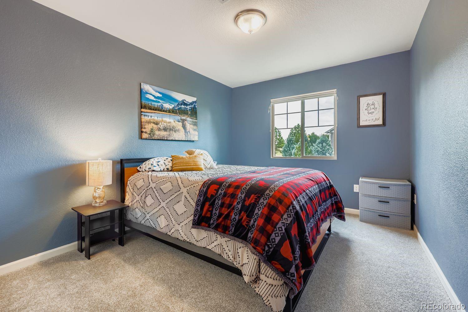 MLS Image #18 for 2872  feather court,castle rock, Colorado