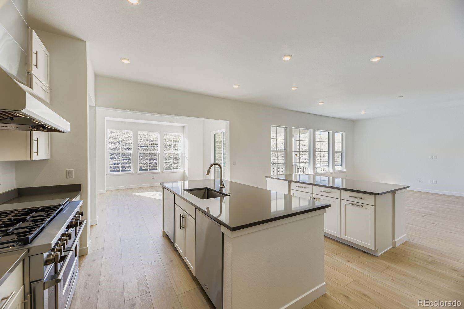 MLS Image #1 for 4190  descent street,castle rock, Colorado