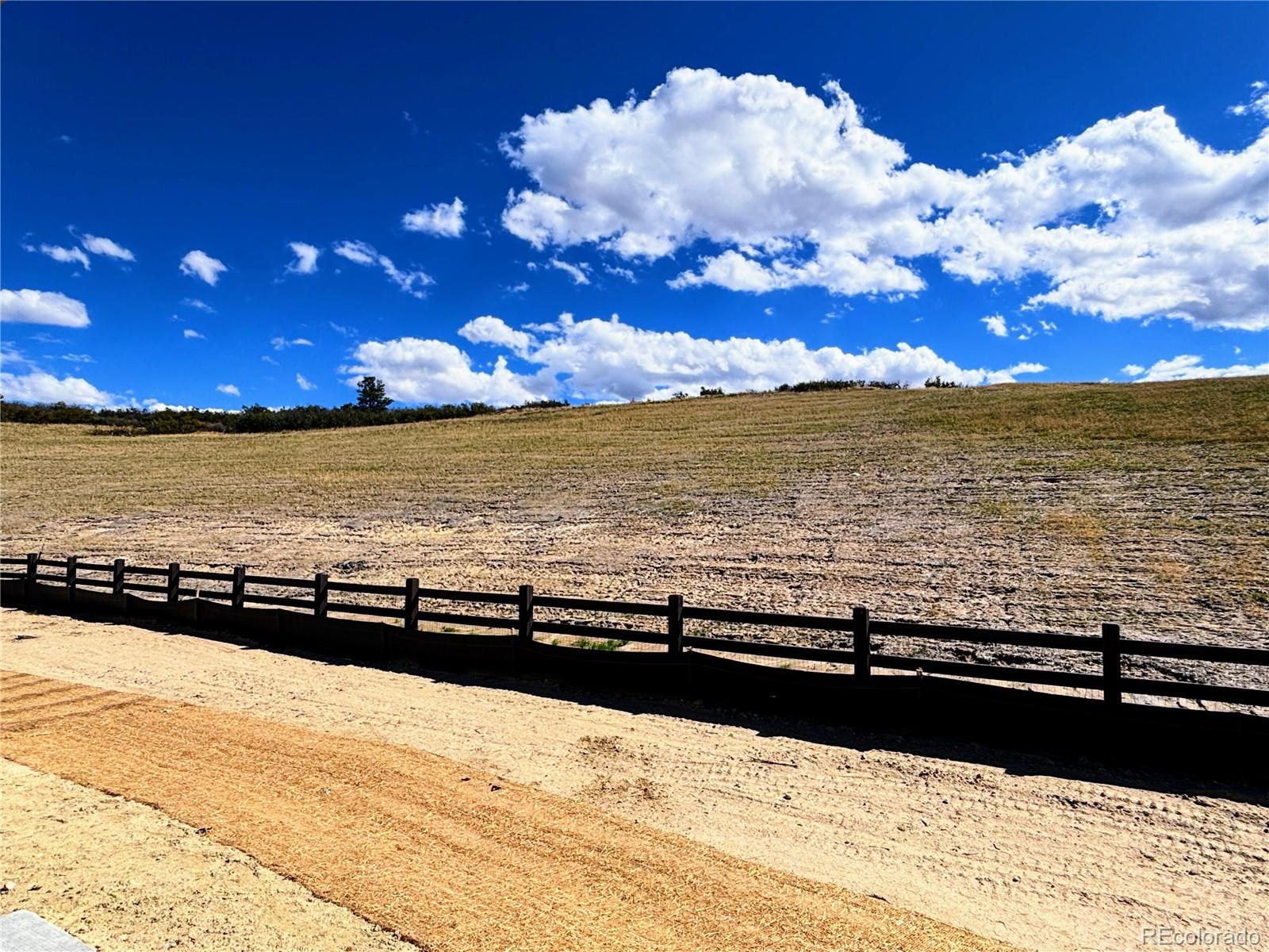 MLS Image #11 for 4190  descent street,castle rock, Colorado