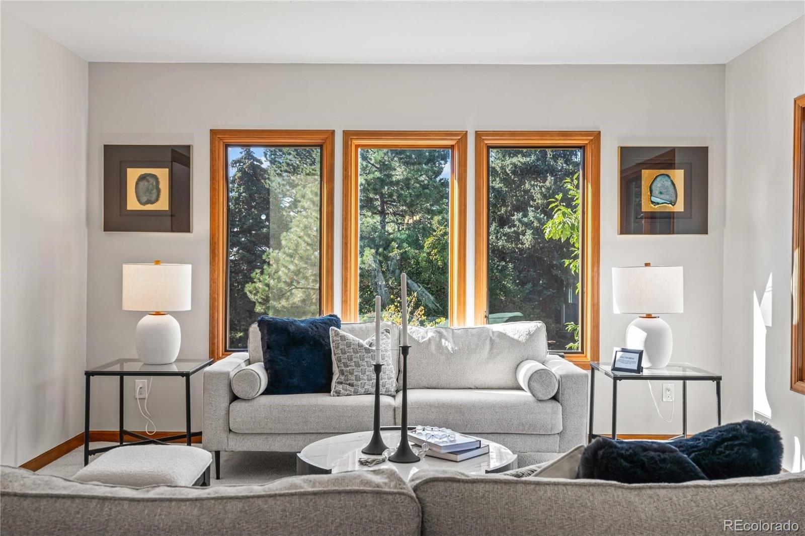 MLS Image #23 for 6018  villard court,parker, Colorado